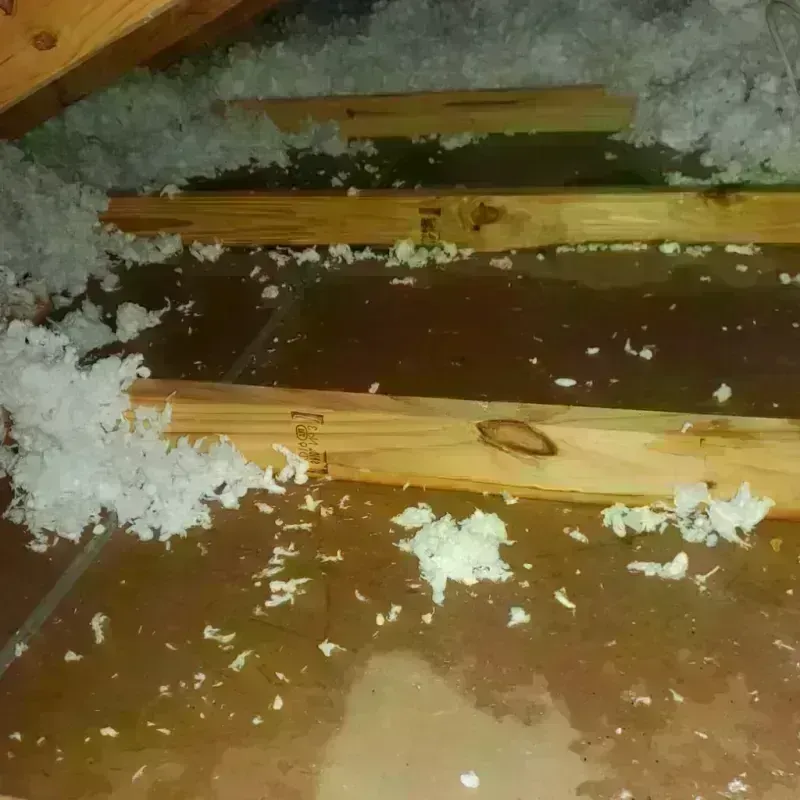 Attic Water Damage in Anaheim, CA