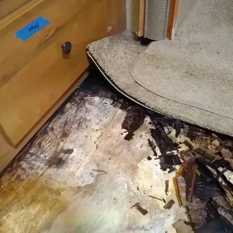 Wood Floor Water Damage in Anaheim, CA